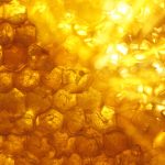 Cire d’abeille