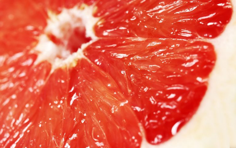 Tranche de pamplemousse