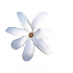 Fleur de Tiaré (monoï)