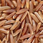 Riz de Camargue